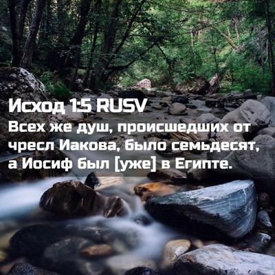 Picture 02 - Исход 1:5 RUSV - Всех же душ, происшедших от - Bible Verse Picture