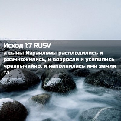 Picture 02 - Исход 1:7 RUSV - а сыны Израилевы - Bible Verse Picture