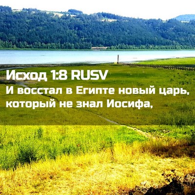 Picture 02 - Исход 1:8 RUSV - И восстал в Египте новый - Bible Verse Picture