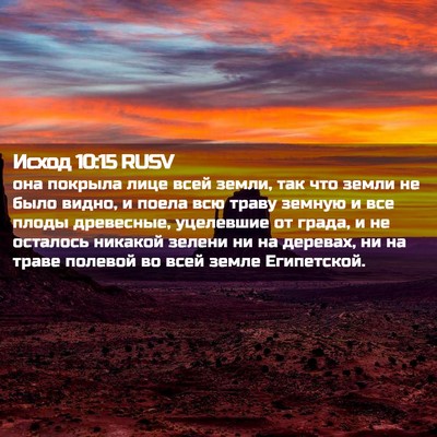 Picture 02 - Исход 10:15 RUSV - она покрыла лице всей - Bible Verse Picture