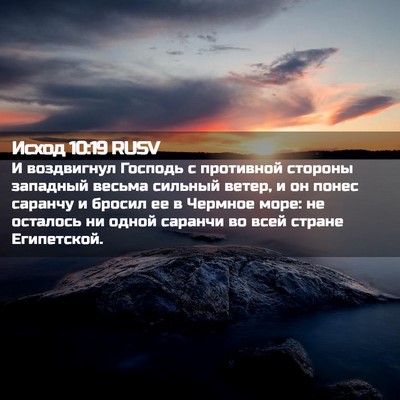 Picture 02 - Исход 10:19 RUSV - И воздвигнул Господь с - Bible Verse Picture