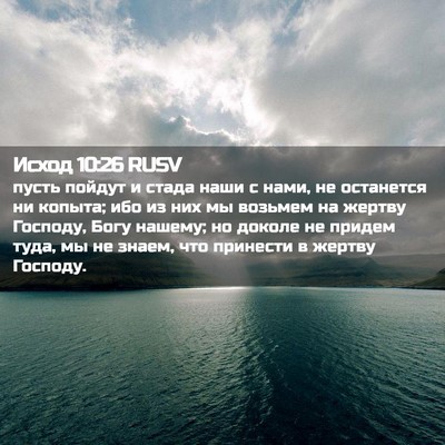 Picture 02 - Исход 10:26 RUSV - пусть пойдут и стада наши с - Bible Verse Picture