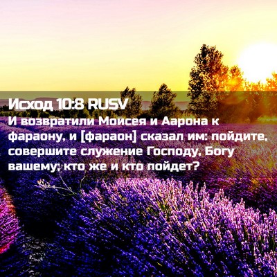 Picture 02 - Исход 10:8 RUSV - И возвратили Моисея и - Bible Verse Picture