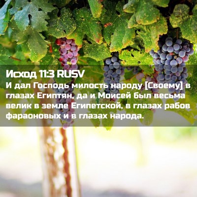 Picture 02 - Исход 11:3 RUSV - И дал Господь милость - Bible Verse Picture