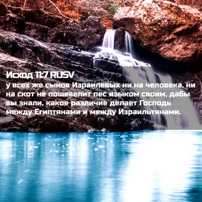 Picture 02 - Исход 11:7 RUSV - у всех же сынов Израилевых - Bible Verse Picture