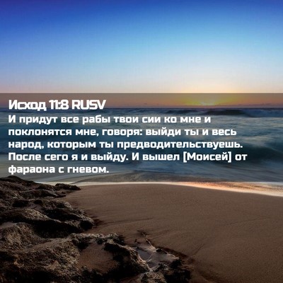 Picture 02 - Исход 11:8 RUSV - И придут все рабы твои сии - Bible Verse Picture