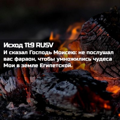 Picture 02 - Исход 11:9 RUSV - И сказал Господь Моисею: не - Bible Verse Picture
