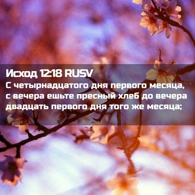 Picture 02 - Исход 12:18 RUSV - С четырнадцатого дня - Bible Verse Picture