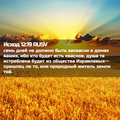 Picture 02 - Исход 12:19 RUSV - семь дней не должно быть - Bible Verse Picture