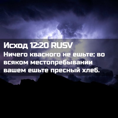 Picture 02 - Исход 12:20 RUSV - Ничего квасного не ешьте; - Bible Verse Picture
