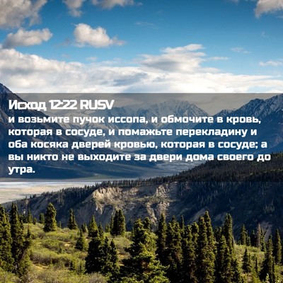 Picture 02 - Исход 12:22 RUSV - и возьмите пучок иссопа, и - Bible Verse Picture