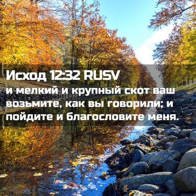 Picture 02 - Исход 12:32 RUSV - и мелкий и крупный скот ваш - Bible Verse Picture