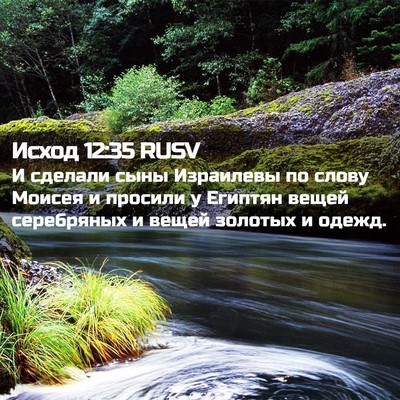 Picture 02 - Исход 12:35 RUSV - И сделали сыны Израилевы - Bible Verse Picture