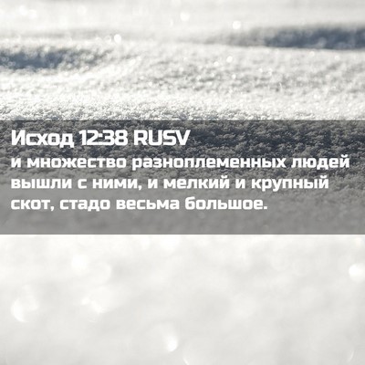 Picture 02 - Исход 12:38 RUSV - и множество - Bible Verse Picture