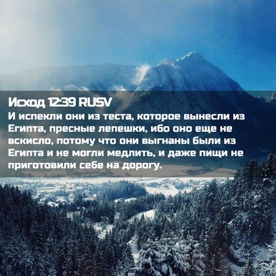 Picture 02 - Исход 12:39 RUSV - И испекли они из теста, - Bible Verse Picture