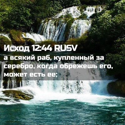 Picture 02 - Исход 12:44 RUSV - а всякий раб, купленный за - Bible Verse Picture