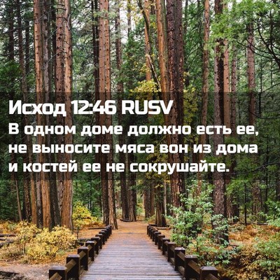 Picture 02 - Исход 12:46 RUSV - В одном доме должно есть - Bible Verse Picture
