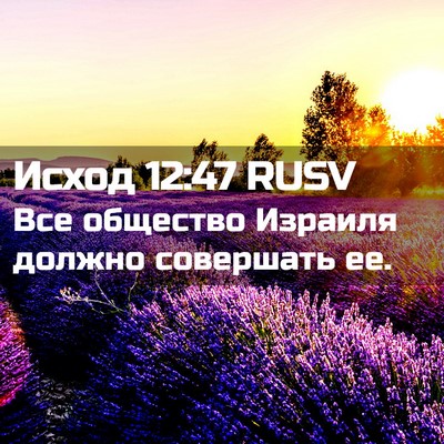 Picture 02 - Исход 12:47 RUSV - Все общество Израиля - Bible Verse Picture