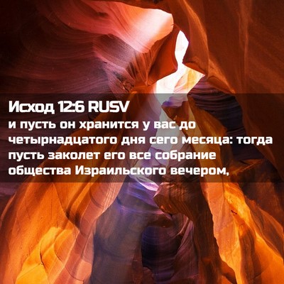 Picture 02 - Исход 12:6 RUSV - и пусть он хранится у вас - Bible Verse Picture