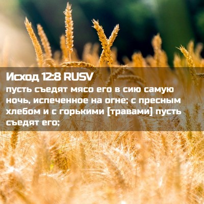 Picture 02 - Исход 12:8 RUSV - пусть съедят мясо его в сию - Bible Verse Picture