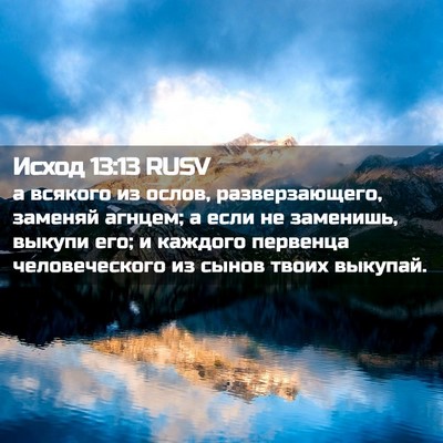 Picture 02 - Исход 13:13 RUSV - а всякого из ослов, - Bible Verse Picture