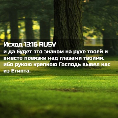 Picture 02 - Исход 13:16 RUSV - и да будет это знаком на - Bible Verse Picture