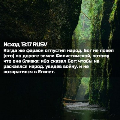 Picture 02 - Исход 13:17 RUSV - Когда же фараон отпустил - Bible Verse Picture