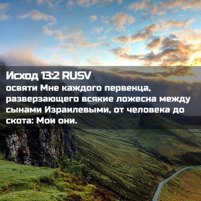 Picture 02 - Исход 13:2 RUSV - освяти Мне каждого - Bible Verse Picture