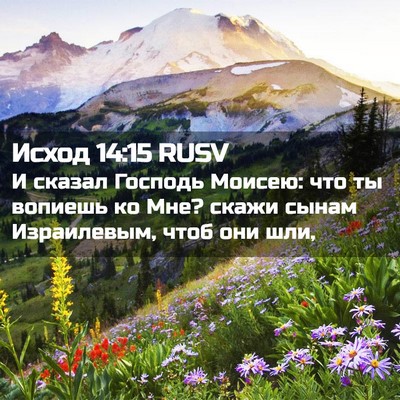 Picture 02 - Исход 14:15 RUSV - И сказал Господь Моисею: - Bible Verse Picture