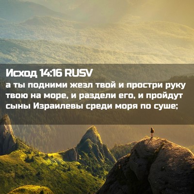 Picture 02 - Исход 14:16 RUSV - а ты подними жезл твой и - Bible Verse Picture