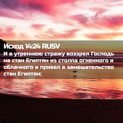 Picture 02 - Исход 14:24 RUSV - И в утреннюю стражу - Bible Verse Picture