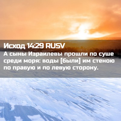 Picture 02 - Исход 14:29 RUSV - А сыны Израилевы прошли по - Bible Verse Picture