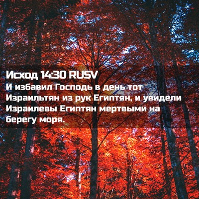 Picture 02 - Исход 14:30 RUSV - И избавил Господь в день - Bible Verse Picture