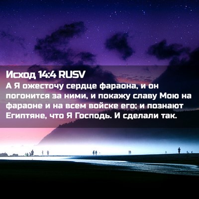 Picture 02 - Исход 14:4 RUSV - А Я ожесточу сердце - Bible Verse Picture