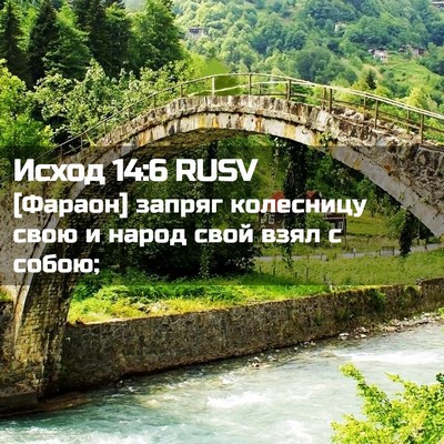 Picture 02 - Исход 14:6 RUSV - [Фараон] запряг колесницу - Bible Verse Picture