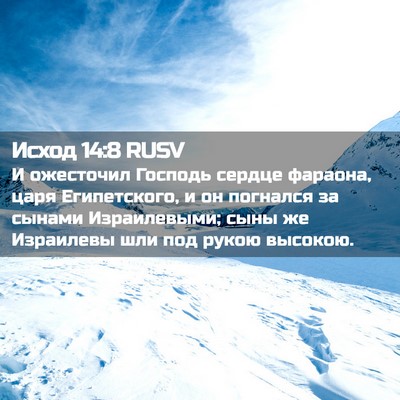 Picture 02 - Исход 14:8 RUSV - И ожесточил Господь сердце - Bible Verse Picture