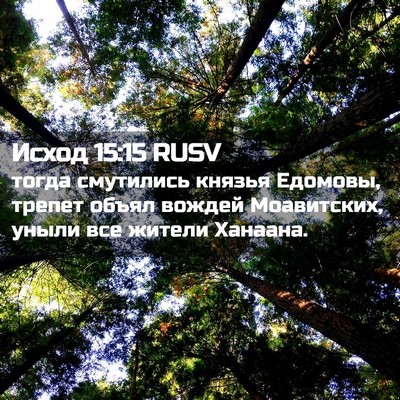 Picture 02 - Исход 15:15 RUSV - тогда смутились князья - Bible Verse Picture