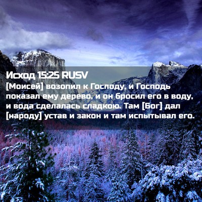 Picture 02 - Исход 15:25 RUSV - [Моисей] возопил к Господу, - Bible Verse Picture