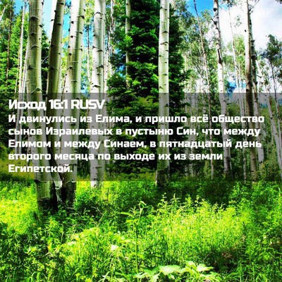 Picture 02 - Исход 16:1 RUSV - И двинулись из Елима, и - Bible Verse Picture
