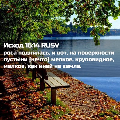 Picture 02 - Исход 16:14 RUSV - роса поднялась, и вот, на - Bible Verse Picture