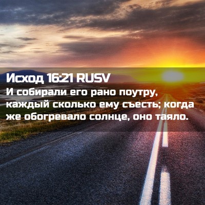 Picture 02 - Исход 16:21 RUSV - И собирали его рано поутру, - Bible Verse Picture