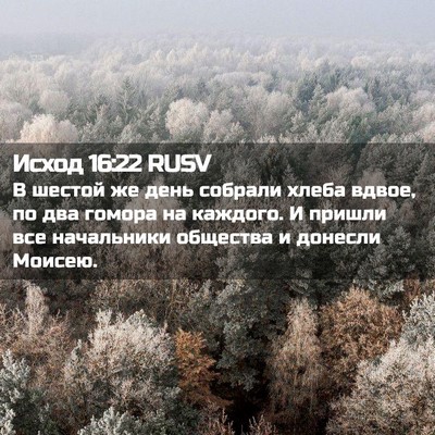 Picture 02 - Исход 16:22 RUSV - В шестой же день собрали - Bible Verse Picture