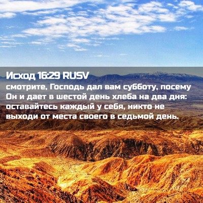 Picture 02 - Исход 16:29 RUSV - смотрите, Господь дал вам - Bible Verse Picture
