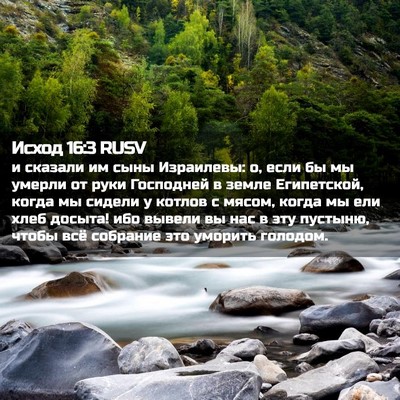 Picture 02 - Исход 16:3 RUSV - и сказали им сыны - Bible Verse Picture