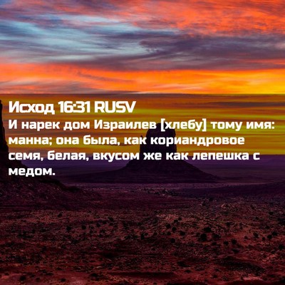 Picture 02 - Исход 16:31 RUSV - И нарек дом Израилев - Bible Verse Picture