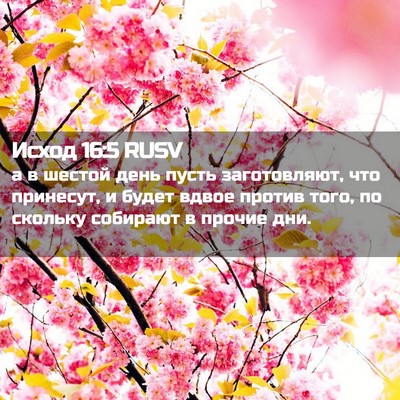 Picture 02 - Исход 16:5 RUSV - а в шестой день пусть - Bible Verse Picture
