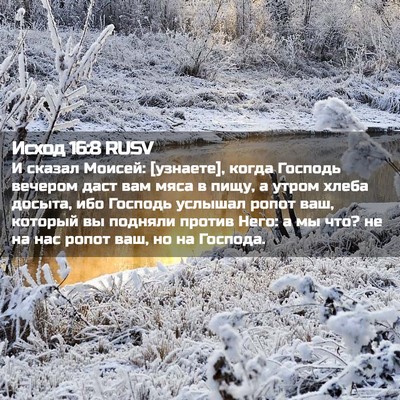 Picture 02 - Исход 16:8 RUSV - И сказал Моисей: [узнаете], - Bible Verse Picture