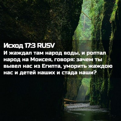 Picture 02 - Исход 17:3 RUSV - И жаждал там народ воды, и - Bible Verse Picture