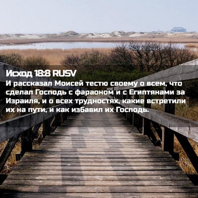 Picture 02 - Исход 18:8 RUSV - И рассказал Моисей тестю - Bible Verse Picture
