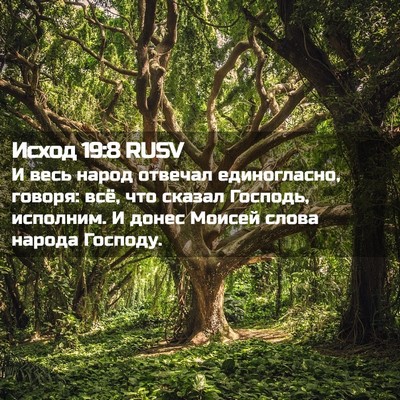 Picture 02 - Исход 19:8 RUSV - И весь народ отвечал - Bible Verse Picture